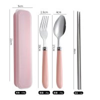 Nordic Pink Box + Large Pointed Spoon, Fork, Chopsticks + PS Pink Porcelain Handle