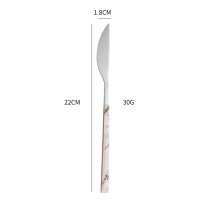 Silver Marble Handle Dinner Knife