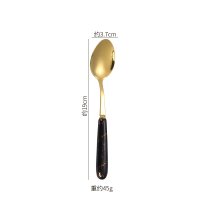 Dinner Spoon [Shining Black]