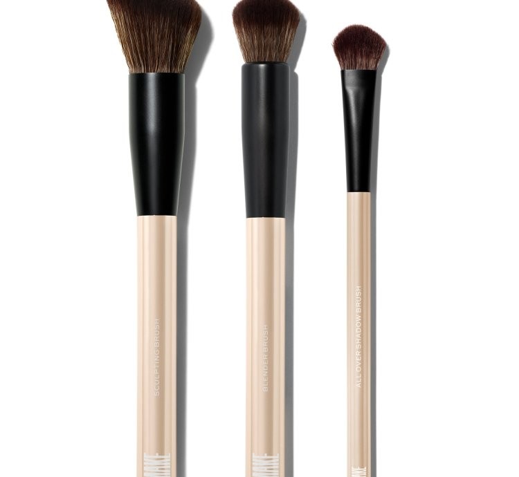 The Essential Brush Kit