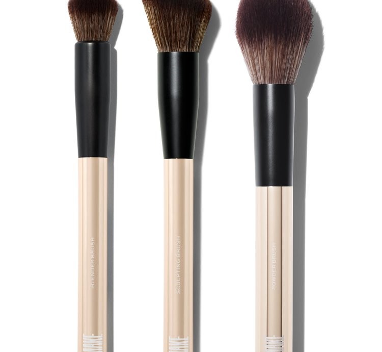 Brush Kit